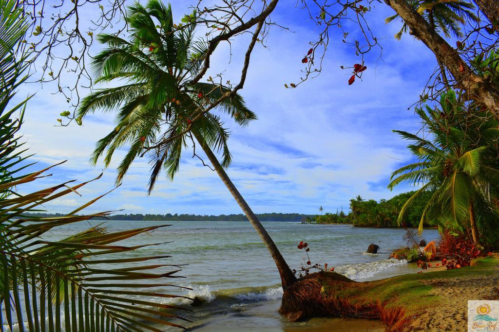 Bocas Reef Hotel Bocas del Toro Eksteriør billede